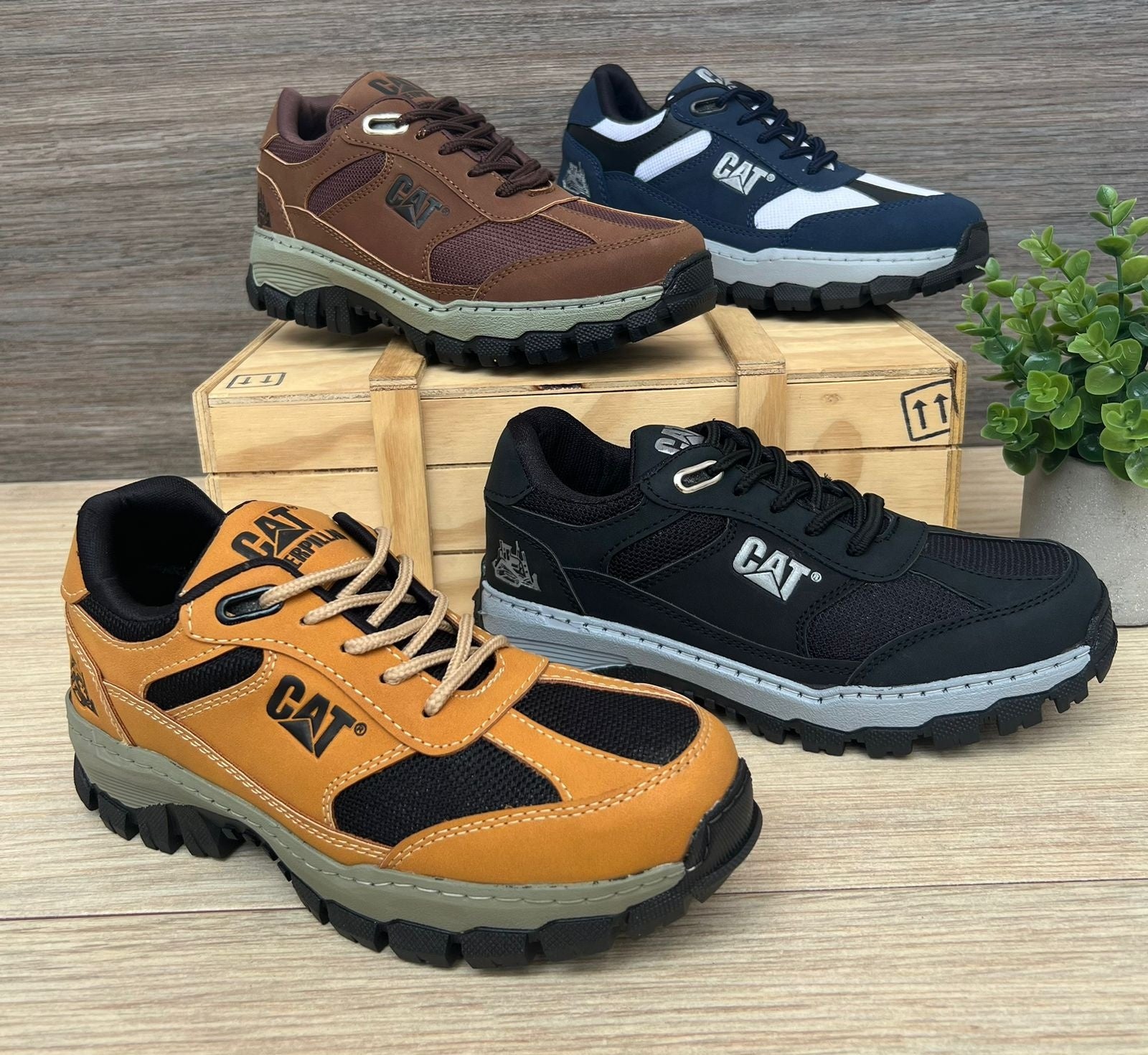 Tenis Zapatillas Caterpillar Corte Bajo - 02_multicolor-2